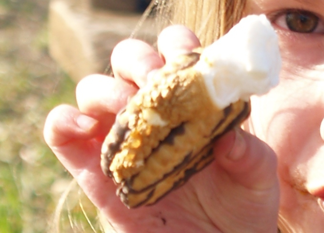 Picture from Celebrate the Glorious Gooeyness of National S’More Day