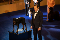 Show Dogs Gets A Needed Makeover