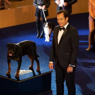 Show Dogs Gets A Needed Makeover
