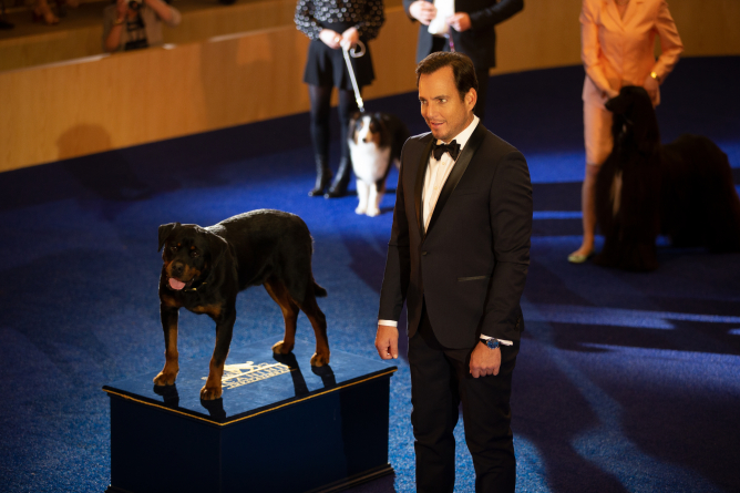Picture from Show Dogs Gets A Needed Makeover