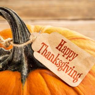 Thanksgiving Movies