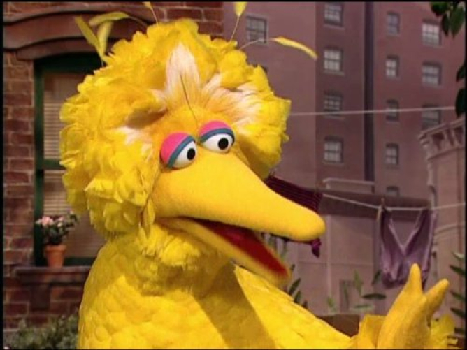 Picture from Big Bird and Pals Are Headed to HBO