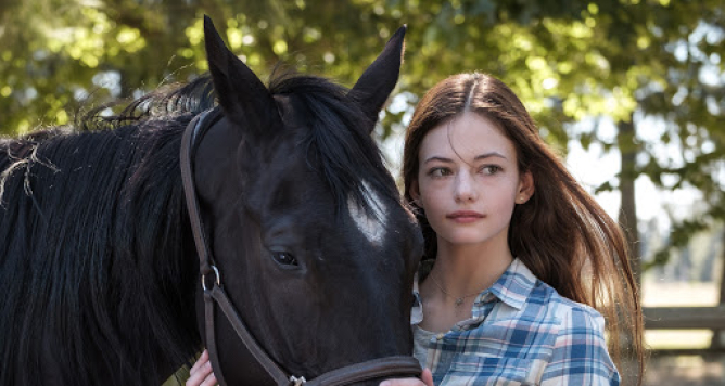 Picture from Coming to Disney+: November 2020