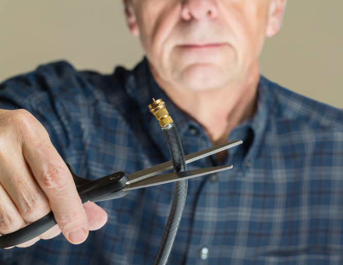 Picture from Online Viewing Options Mean More People Are Cutting the Cable Cord