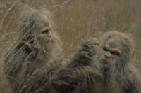 Sasquatch Sunset