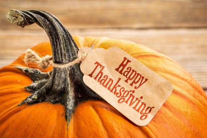 Picture from Thanksgiving Movies